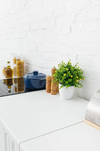 Moderno interior de la cocina blanca con olla en la cocina de inducción eléctrica cerca de la planta y contenedores de alimentos cerca de la pared de ladrillo - foto de stock