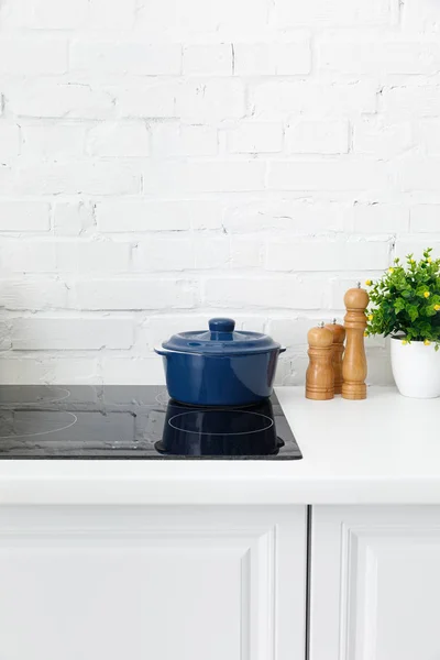 Intérieur moderne de cuisine blanche avec pot sur table de cuisson à induction électrique près de la plante près du mur de briques — Photo de stock