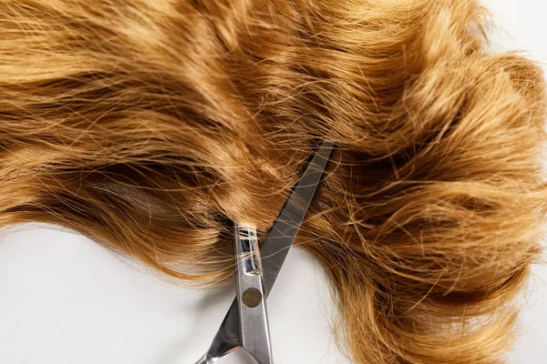 Top view of scissors and wavy brown hair on white background — Stock Photo