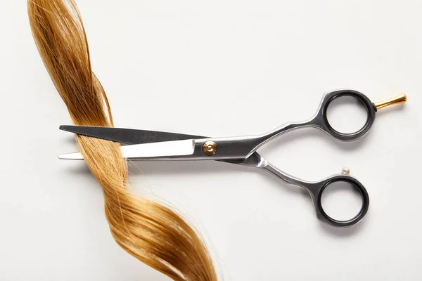 Draufsicht auf Locken mit braunen Haaren und Schere auf weißem Hintergrund — Stockfoto