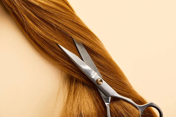 Top view of scissors on brown hair on beige background — Stock Photo