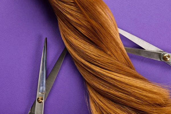 Top view of twisted brown hair with scissors on purple background — Stock Photo