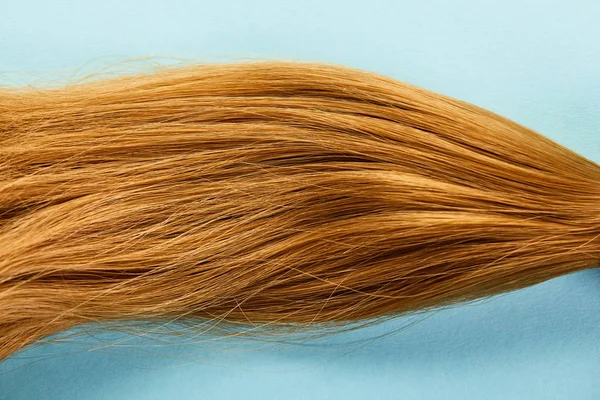 Top view of brown hair on blue background — Stock Photo