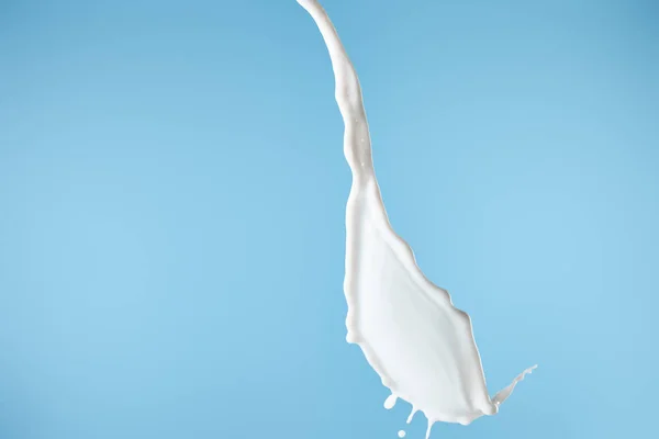 Éclaboussure de lait blanc frais isolé sur bleu — Photo de stock