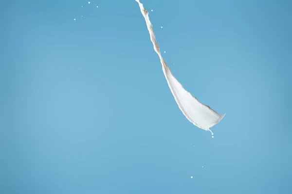 Fresh white milk splash isolated on blue — Stock Photo