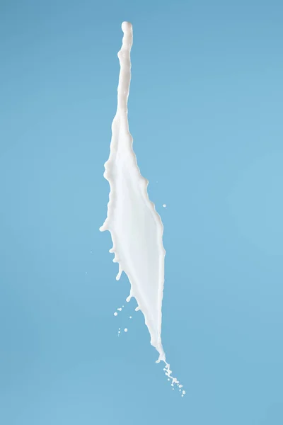 Fresh white milk splash isolated on blue — Stock Photo