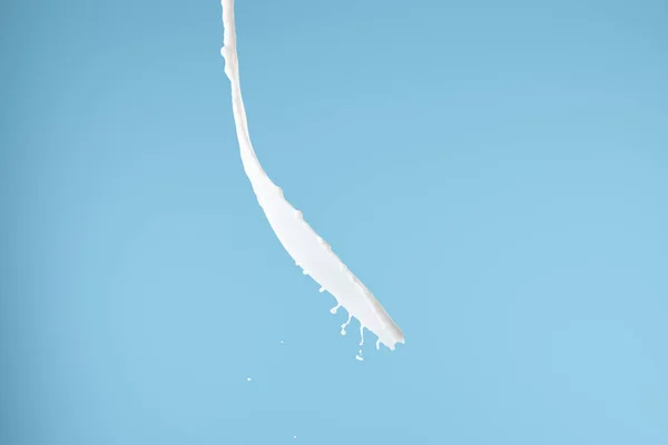 Fresh white milk splash isolated on blue — Stock Photo