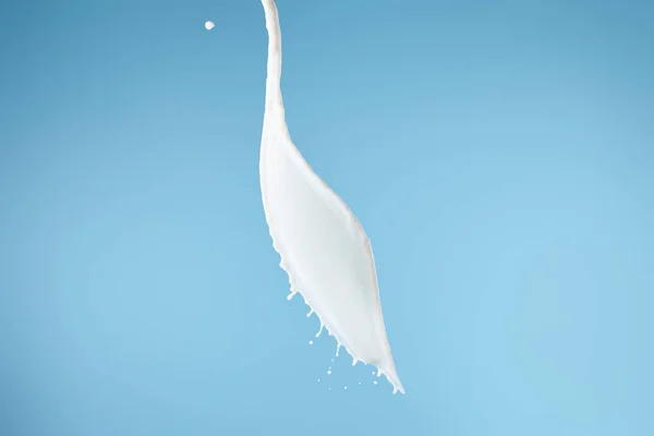 Fresh white milk splash isolated on blue — Stock Photo