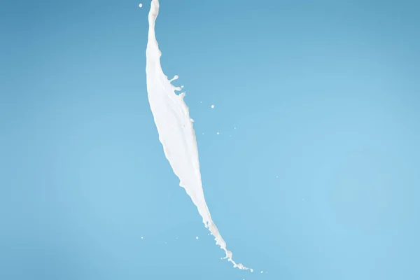 Fresh white milk splash isolated on blue — Stock Photo
