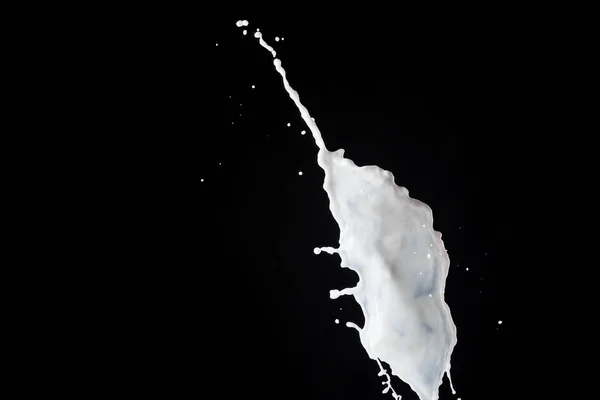 Éclaboussure de lait blanc frais isolé sur noir — Photo de stock