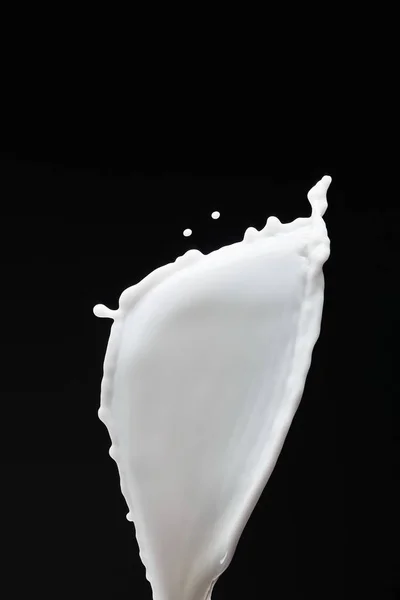 Fresh white milk splash with drops isolated on black — Stock Photo