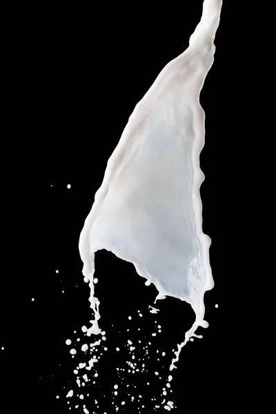 Fresh white milk splash with drops isolated on black — Stock Photo