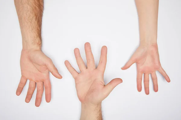 Draufsicht von drei Personen, die Palmen isoliert auf Weiß zeigen — Stockfoto