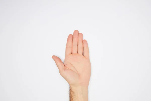 Vue du dessus de la paume ouverte mâle isolé sur blanc — Photo de stock