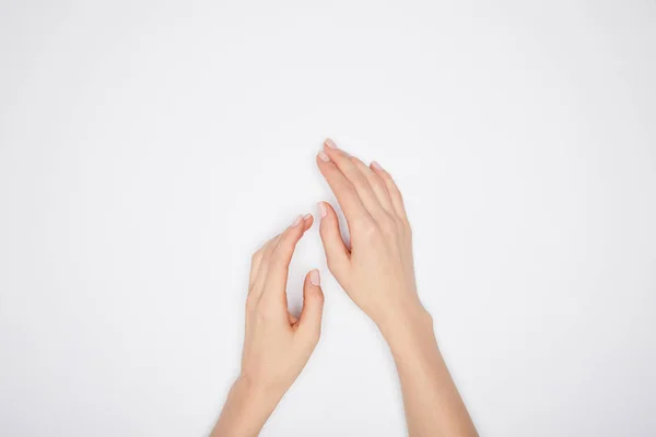 Top view of female hands isolated on white — Stock Photo