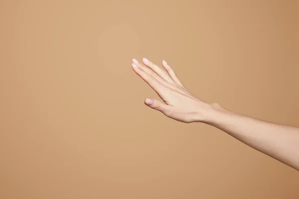 Vista ritagliata della mano delicata femminile isolata sul beige — Foto stock