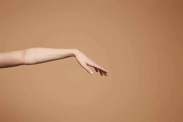 Vista ritagliata della mano delicata femminile isolata sul beige — Foto stock