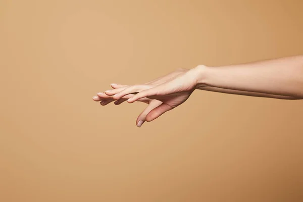 Vista recortada de las delicadas manos femeninas aisladas en beige - foto de stock