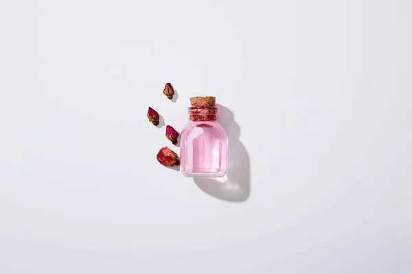 Vue du dessus de la bouteille d'huile de rose et des bourgeons roses sur fond gris — Photo de stock