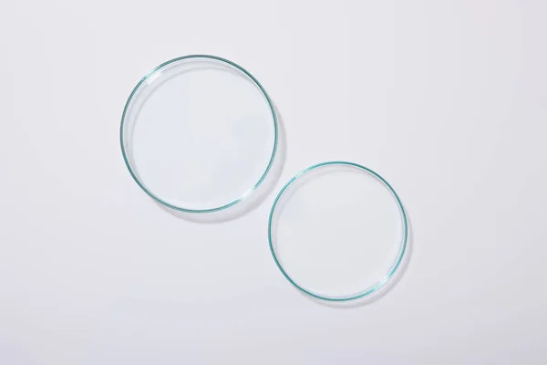 Top view of empty laboratory glassware on grey background — Stock Photo