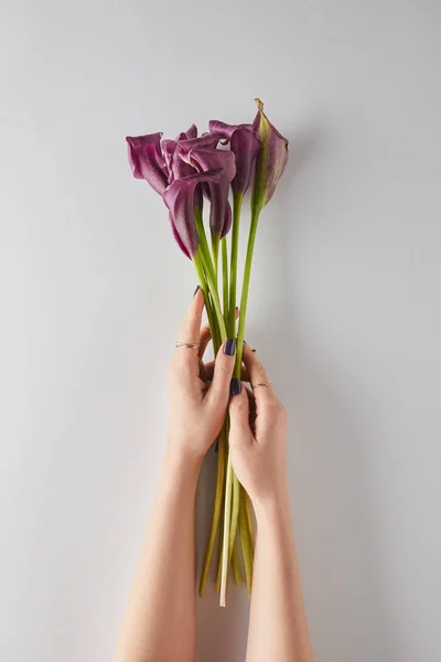 Vue recadrée de la femme tenant des fleurs de calla pourpre sur fond blanc — Photo de stock