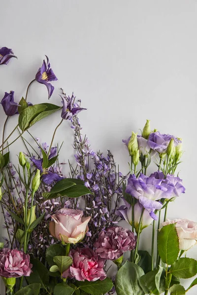 Vista superior de las flores violeta y púrpura sobre fondo blanco - foto de stock
