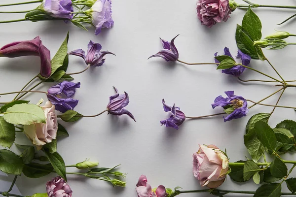 Vista dall'alto di fiori viola e viola su sfondo bianco — Foto stock