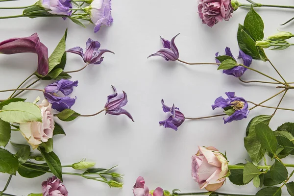 Vista dall'alto di fiori viola e viola su sfondo bianco — Foto stock