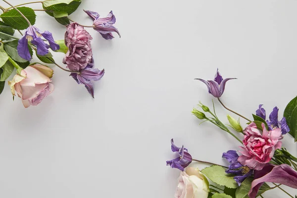 Vista dall'alto di fiori viola e viola su sfondo bianco — Foto stock