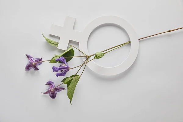 Vue du dessus des fleurs violettes et signe Venus sur fond blanc — Photo de stock
