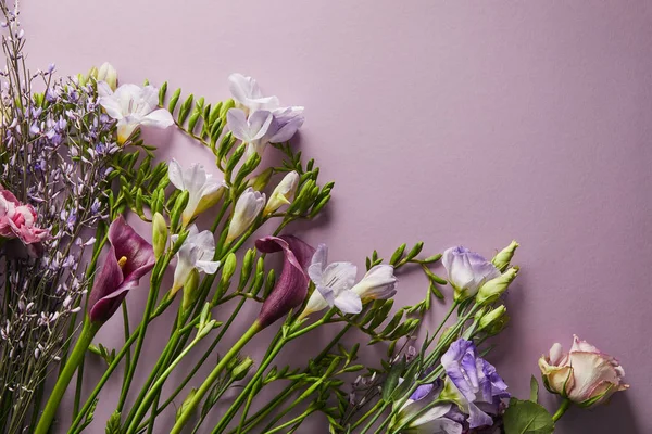 Vista dall'alto di bellissimi fiori su sfondo viola con spazio copia — Foto stock