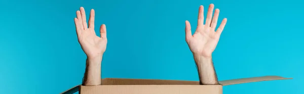 Hands of courier in cardboard package isolated on blue, panoramic shot — Stock Photo