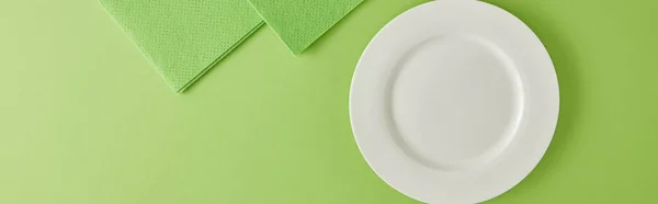 Tiro panorâmico de chapa e trapos de lavagem de prato em verde — Fotografia de Stock