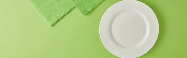 Panoramic shot of plate and rags for dish washing on green — Stock Photo