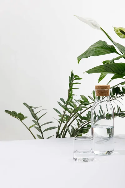 Vidro e garrafa de água doce perto de plantas verdes no fundo branco — Fotografia de Stock