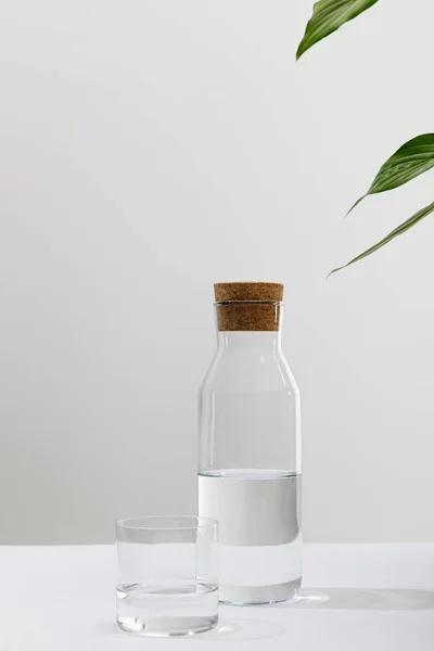 Vidro e garrafa de água doce perto de planta verde no fundo branco — Fotografia de Stock