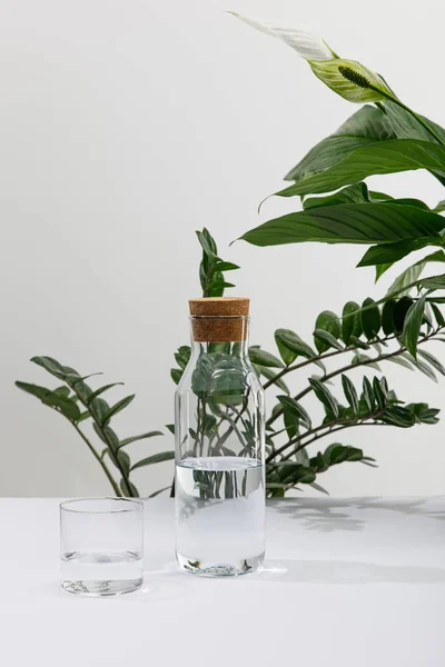 Glass and bottle of fresh water near green plants on white surface — Stock Photo