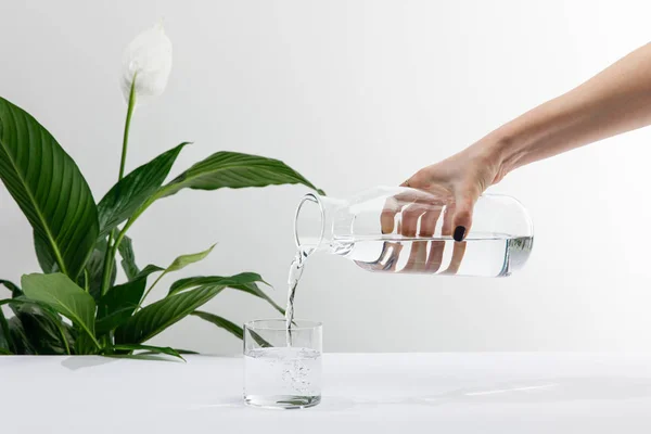 Vista ritagliata della donna versando acqua dalla bottiglia in vetro vicino verde pianta giglio pace sulla superficie bianca — Foto stock