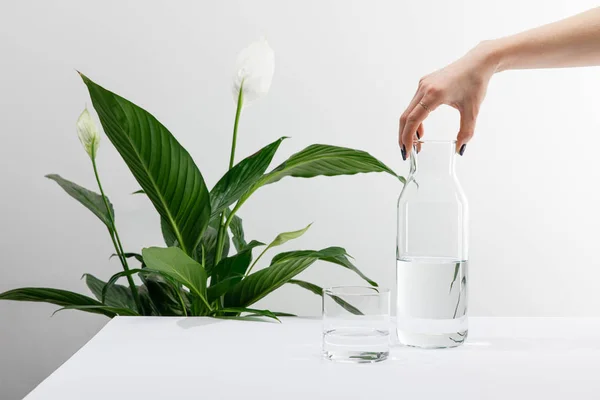Vue recadrée de la femme tenant bouteille d'eau douce près de vert plante de lis de paix et de verre sur la surface blanche — Photo de stock