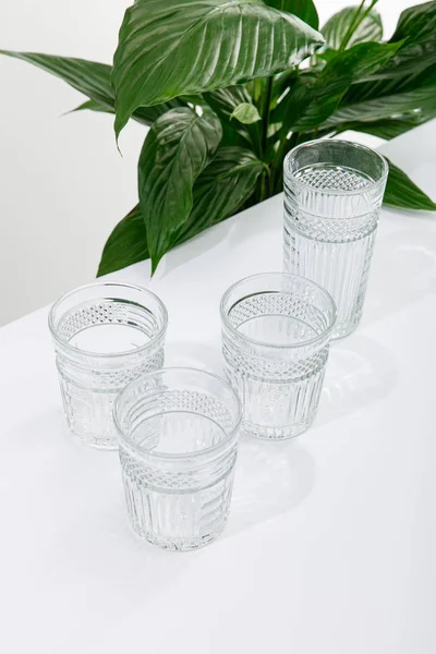 Vasos facetados de agua dulce en la mesa blanca cerca de la planta de lirio de paz verde - foto de stock
