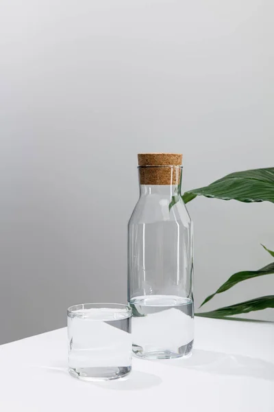 Glass and bottle of fresh water on white surface near green peace lily plant isolated on grey — Stock Photo