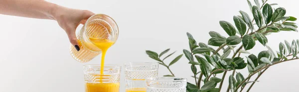 Cropped view of woman pouring delicious yellow smoothie in glass near green plant isolated on white, panoramic shot — Stock Photo