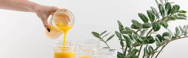 Обрезанный вид женщины, наливающей вкусный желтый смузи в стекло рядом с зеленым растением изолированы на белом, панорамный снимок — стоковое фото