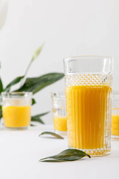 Selektiver Fokus eines Glases frischer köstlicher gelber Smoothie auf weißer Oberfläche in der Nähe der grünen Friedenslilie-Pflanze isoliert auf grau — Stockfoto