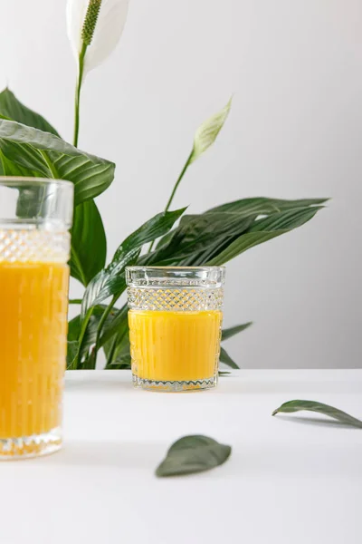 Selective focus of glasses of fresh delicious yellow smoothie on white surface near green peace lily plant isolated on grey — Stock Photo