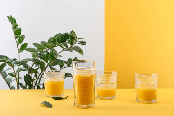 Bicchieri di fresco delizioso frullato giallo vicino alla pianta verde — Foto stock