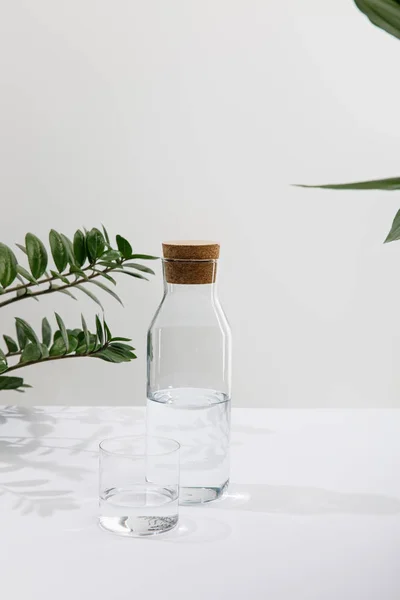 Glas und Flasche Süßwasser in der Nähe grüner Pflanzen auf weißer Oberfläche isoliert auf grau — Stockfoto