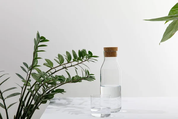 Glass and bottle of fresh water near green plants on white surface isolated on grey — Stock Photo