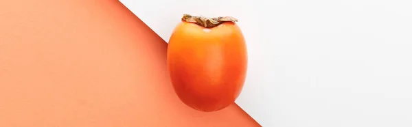 Top view of persimmon on white and orange background, panoramic shot — Stock Photo