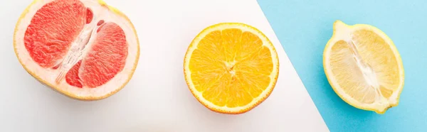 Vista superior de pomelo, limón, mitades de naranja sobre fondo blanco y azul, plano panorámico - foto de stock